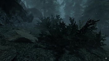 3d animation physics