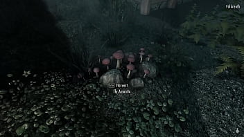 3d animation physics