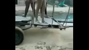 Olha o carro da puta na sua rua Olha o carro da puta na sua rua