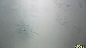 Black Babe Suck In A Gloryhole 28 thumbnail