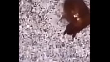 Lol studio productions