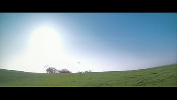 Wharf talk tyler the creator