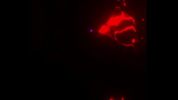 La mujer quiere seguidores para su página