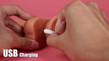 Bob wiggles Bob wiggles