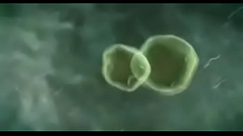 Landlord fucked my step mom