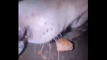 Видео для верификации