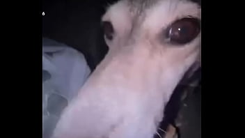 Видео для верификации