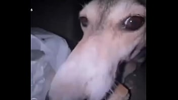 Видео для верификации