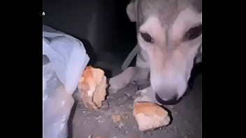 Видео для верификации