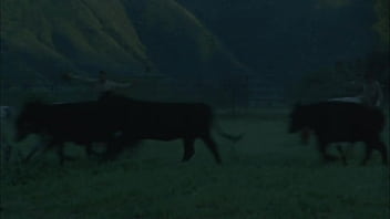 Brooke ballentyne still has her riding chaps on as she gets creampied sqf