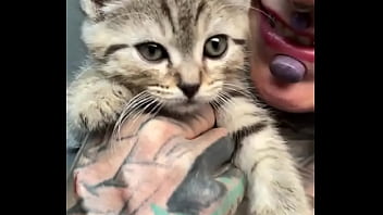 What do you think do the kittens fit my bodysuit perfectly how do you feel about mixing fashion with fun #fashi