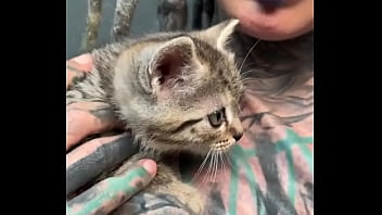 What do you think do the kittens fit my bodysuit perfectly how do you feel about mixing fashion with fun #fashi