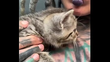 What do you think do the kittens fit my bodysuit perfectly how do you feel about mixing fashion with fun #fashi