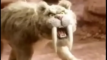 Pika de jegue no cu do elefante