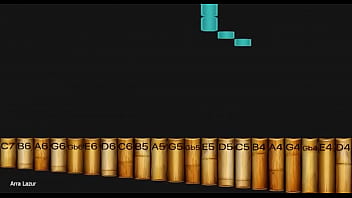 Видео для верификации