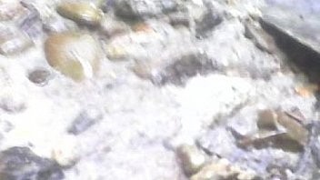 Cachando en la quebrada