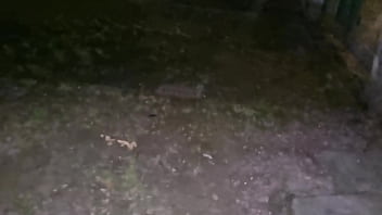 Arrapato esibizionista cerca una guardona sborrata pubblica nel parco e gemiti sega in pubblico e passeggiata senza slip con il cazzo in mostra