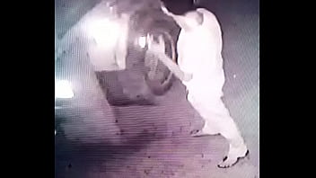 Pissing caught on camera