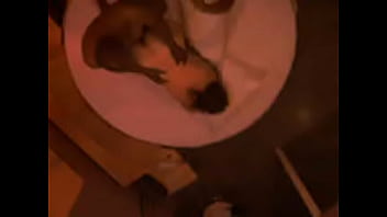 Video bokep part 9386711