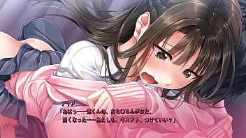アヤメ④ アヤメ④