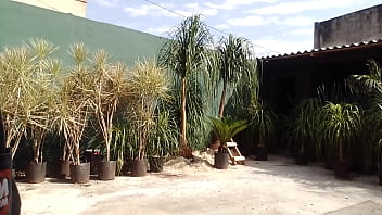 Diogobrasileiro update #2 vid 20231024 084410 oct 25 2023