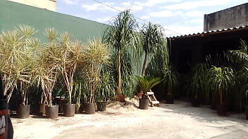 Diogobrasileiro update #2 vid 20231024 084410 oct 25 2023