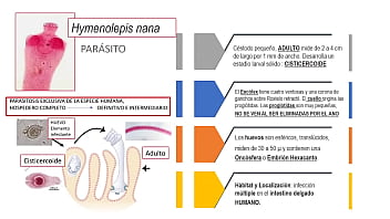 Jugando con el culo de mi novia
