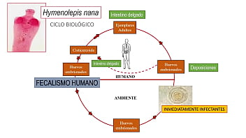 Jugando con el culo de mi novia