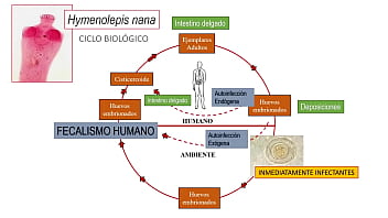Jugando con el culo de mi novia