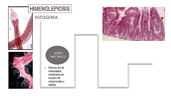 Jugando con el culo de mi novia