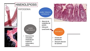 Jugando con el culo de mi novia