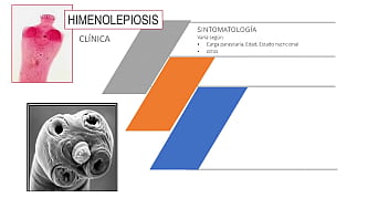 Jugando con el culo de mi novia