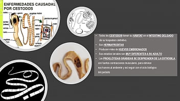 Jugando con el culo de mi novia