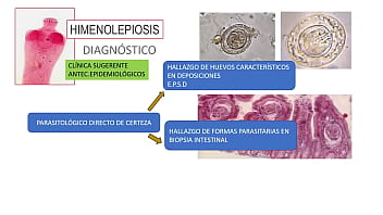 Jugando con el culo de mi novia