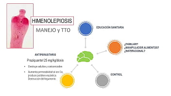 Jugando con el culo de mi novia