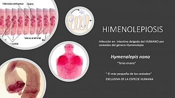 Jugando con el culo de mi novia