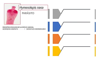 Jugando con el culo de mi novia