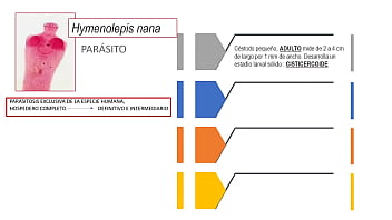 Jugando con el culo de mi novia