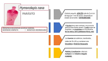 Jugando con el culo de mi novia