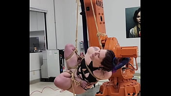 More robotic shibari