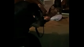 Vídeo de verificación