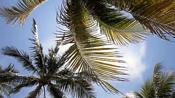 The pervy stepson part 1 & trailers