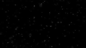 Cooking cock official trailer