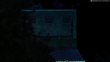 Vídeo de verificação