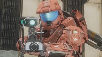 Sabes que le dice una oveja a otra oveja