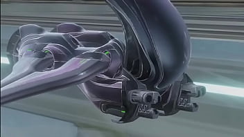 Sabes que le dice una oveja a otra oveja