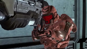 Sabes que le dice una oveja a otra oveja