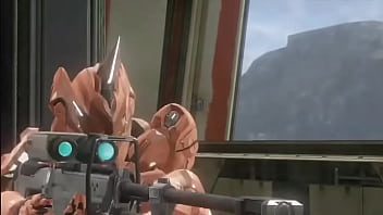 Sabes que le dice una oveja a otra oveja