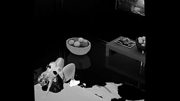 Porno imvu un negro bbc me llena el culo de semen mientras la cámara de seguridad graba todo