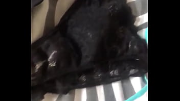 Bragas sabrosas y olorosas